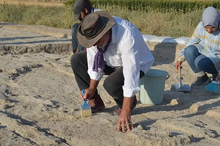 Canhasan Höyükleri Kazılarında Heyecan Verici Bulgular: Çatalhöyük’ten Daha Eski İzler Ortaya Çıkıyor — fotoğraf 1